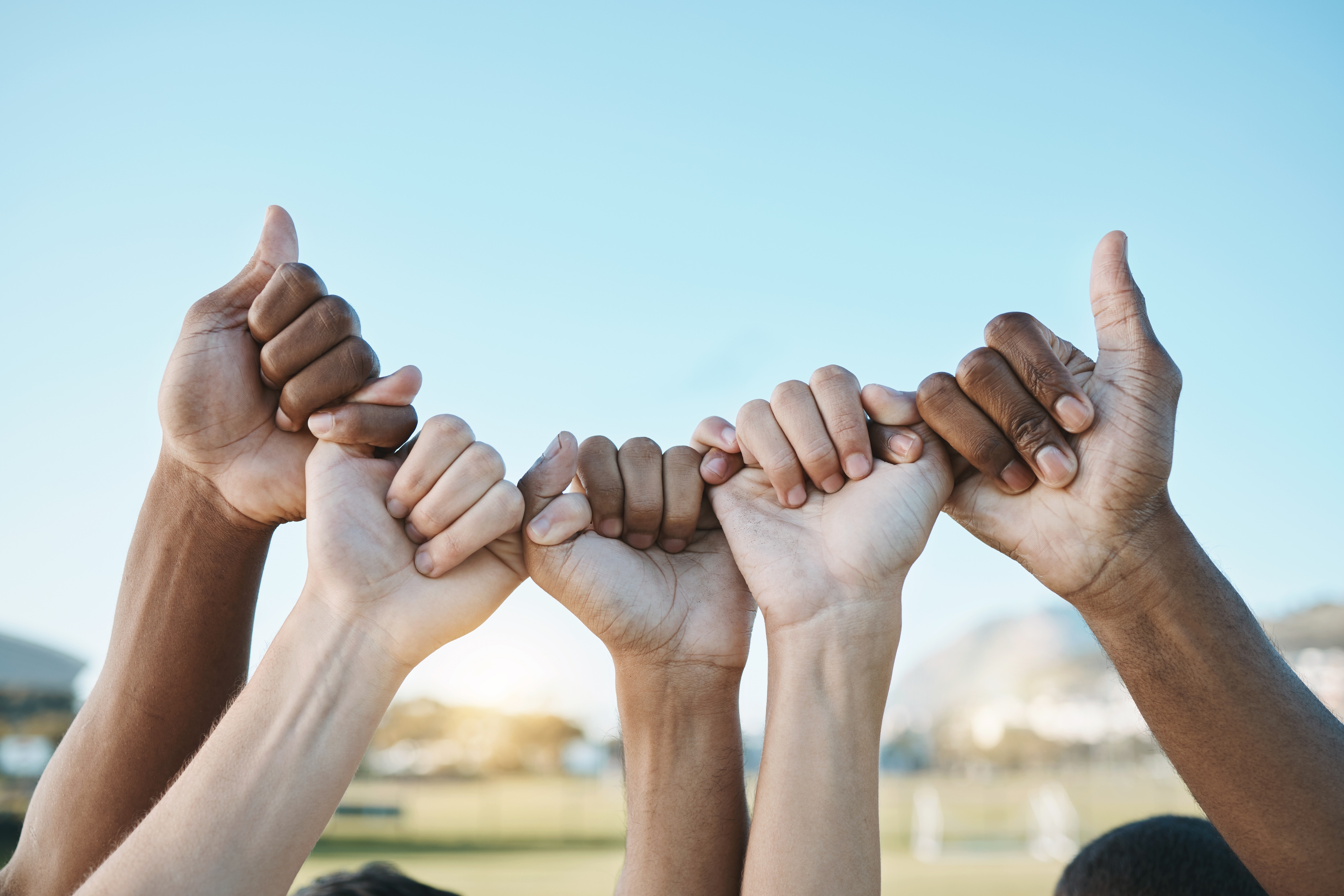 Unity and Collaboration at Zinerva