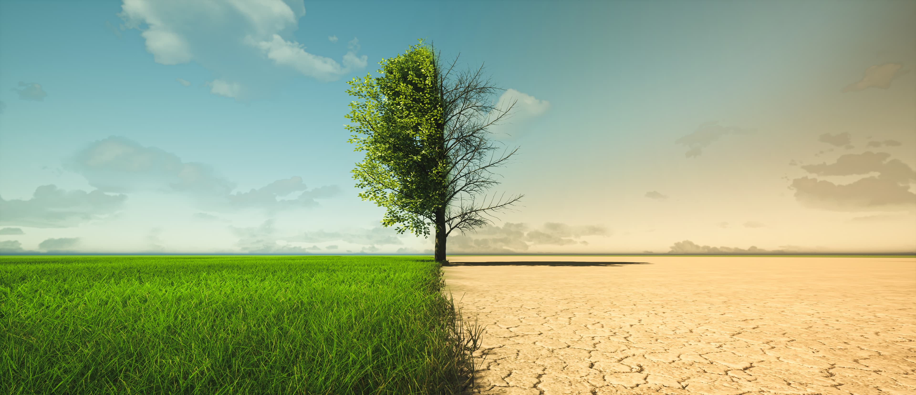Sustainability in Action